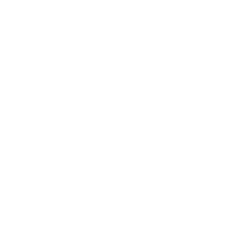 Megaphone