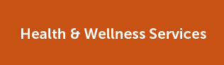Health Wellness Services