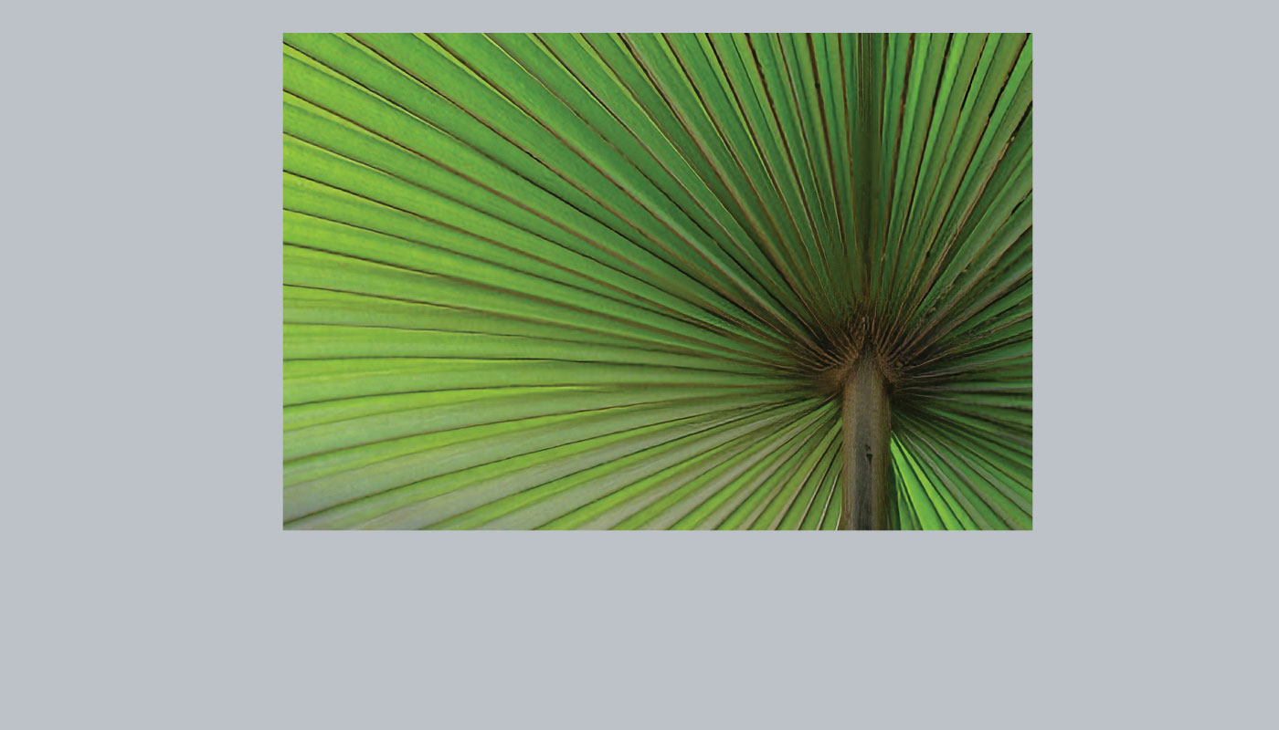 Abstract Imagery Step 1