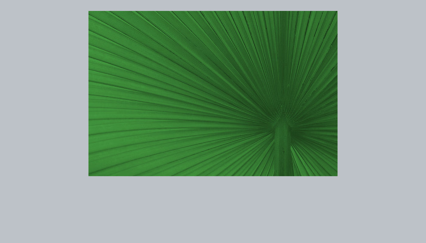 Abstract Imagery Step 4