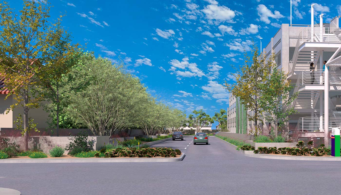 Tree lined buffer at entry