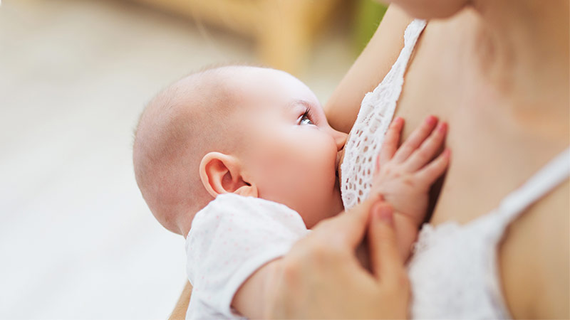 Breastfeeding Basics: In Person